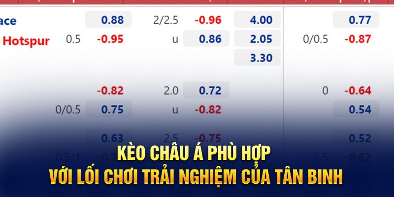 Kèo châu Á phù hợp với lối chơi trải nghiệm của tân binh