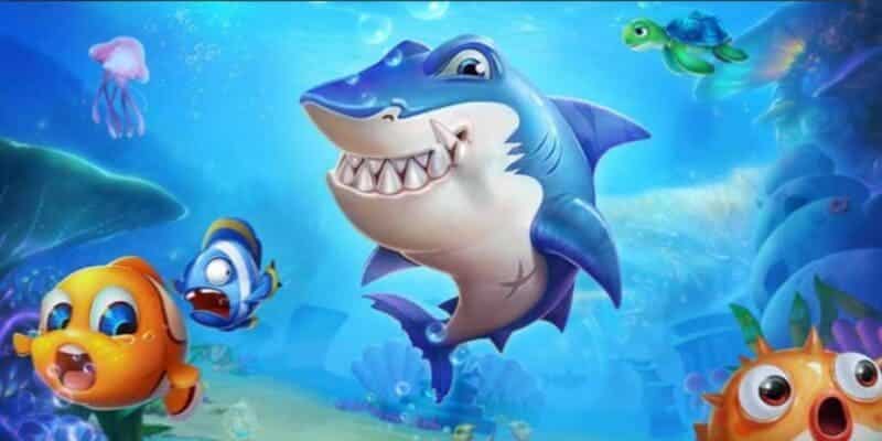 Ngư dân nên bỏ túi kinh nghiệm cao thủ chia sẻ